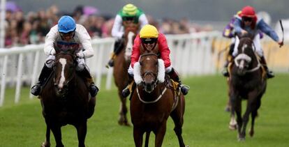 Carrera de caballos organizada por Betfair en Ripon, Inglaterra.