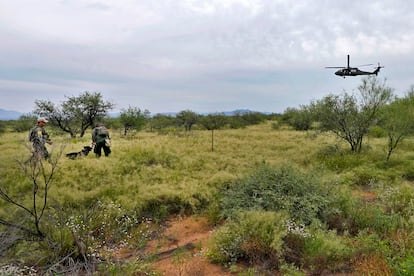 Agentes de la Patrulla Fronteriza estadounidense, asistidos por un helicóptero y perros rastreadores, recorren la región de las montañas Baboquivari en búsqueda de un grupo de migrantes que está evadiendo la captura.
