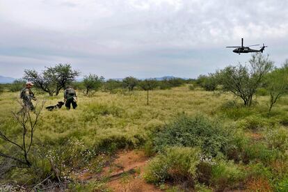 Agentes de la Patrulla Fronteriza estadounidense, asistidos por un helicóptero y perros rastreadores, recorren la región de las montañas Baboquivari en búsqueda de un grupo de migrantes que está evadiendo la captura.