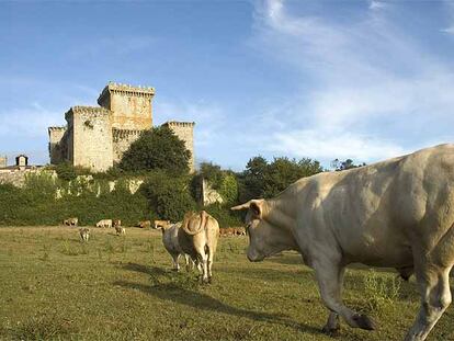 Una vista del castillo de Pambre, en Palas de Rei, desde unos de sus terrenos adyacentes.