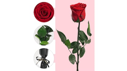 Esta rosa conservada es el regalo perfecto por el Día de la Madre.