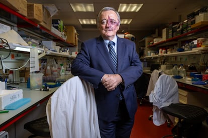 Mariano Barbacid en el Centro Nacional de Investigaciones Oncológicas de Madrid