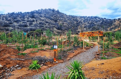 Curacaví