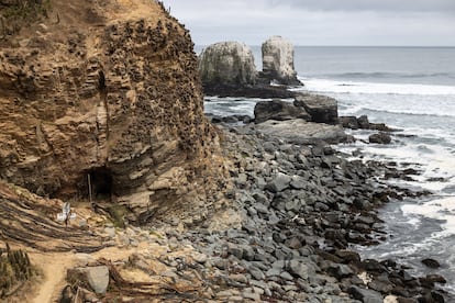 Las faldas de una quebrada frente al mar de Los Piures, en Pichilemu, O'Higgins, el 17 de diciembre pasado.