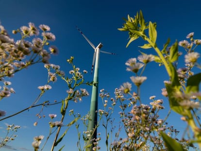 Se crea una herramienta para que las pymes conozcan su grado de sostenibilidad