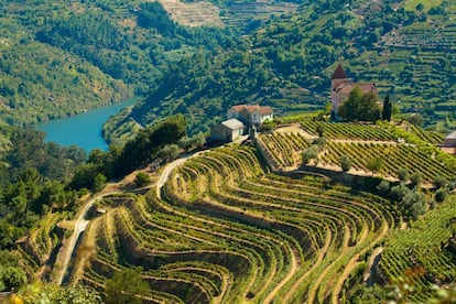 Pocos paisajes han sido tan moldeados por el vino como el tramo portugués del <a href="https://www.visitportugal.com/es/content/valle-del-douro/" target="">Valle del Duero</a>, en cuyos flancos montañosos se han construido bancales a lo largo de un sinfín de generaciones. Hace más de dos milenios que en esta tierra se cultiva la uva —un logro reconocido con su inclusión en la lista de patrimonio mundial de la Unesco—. Y, presuntamente, es la la región vitivinícola demarcada más antigua del mundo, delimitada en 1756. Explorarla a pie es un placer, por senderos que pasan entre viñedos y quintas donde parar a catar vinos, durmiendo cada noche en posadas antiguas y mansiones de piedra encalada. Es aconsejable dar una vuelta desde la pequeña localidad ribereña de Pinhão —y hacer una pausa para admirar los bellos azulejos de la estación de tren— en dirección norte, hacia Sabrosa (pueblo natal del navegante Fernando de Magallanes) y Alijó, y después regresar a la orilla del Duero por Vale de Mendiz. La ruta, partiendo y volviendo a Pinhão, son 51 kilómetros.