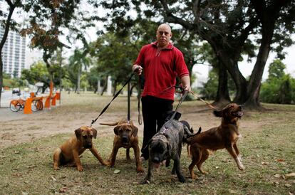 Manfred Kulitc, matemático de 49 años, posa con sus perros en Río de Janeiro. Sobre los Juegos Olímpicos, piensa: "No me importan demasiado los Juegos Olímpicos, este país no tiene infraestructura para un evento como este. Los problemas reales de la población no se han resuelto." Manfred también comparte su preocupación por la seguridad de los turistas.