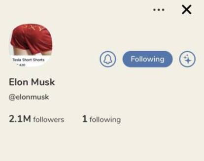 Perfil de Elon Musk, fundador de Tesla.