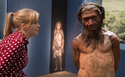 A model of a Neanderthal male on display at the Natural History Museum in London