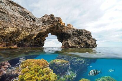 Arco de roca natural en el cabo de Palos, en la costa de Murcia.
