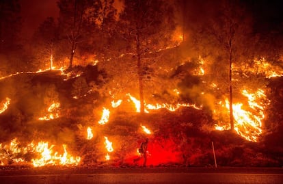 Os incêndios florestais que se estenderam nos últimos dias pelo norte do Estado de Califórnia (EUA) assolaram centenas de hectares e provocaram a morte de um voluntário. Na foto, um bombeiro entre as chamas em uma ladeira de Rocky, próximo à cidade de Clearlake.