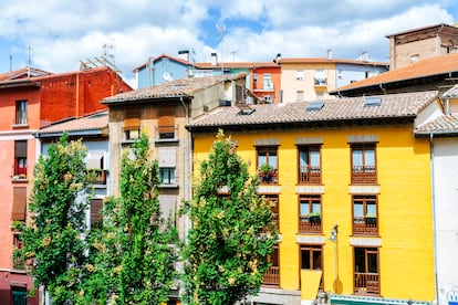Árboles en las calles de Pamplona