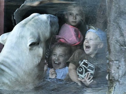 ¿Por qué vamos al zoo?