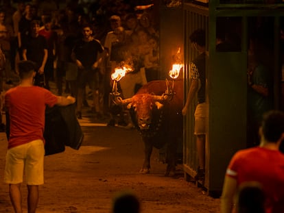 'Bou embolat', en la localidad castellonense de L'Alcora en el verano de 2022.