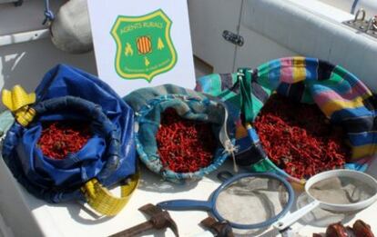 La patrulla marítima de los Agentes Rurales del Departamento de Agricultura Ganadería Pesca Alimentación y Medio Natural interceptaron el miércoles a las 7 de la mañana tres coraleros furtivos que acababan de pescar coral rojo ilegalmente en el Parque Natural del Montgrí las Islas Medes y el Baix Ter.