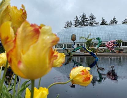 En el jardín botánico de Nueva York, Yayoi Kusama revela su fascinación de toda la vida por el mundo natural, comenzando con su infancia en los invernaderos y campos del vivero de semillas de su familia.