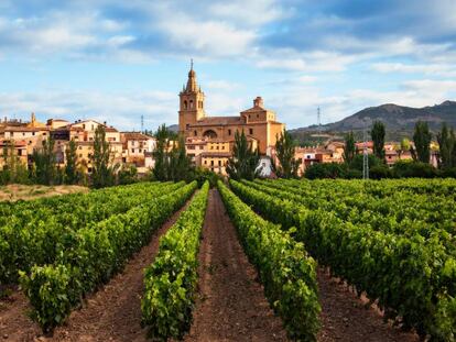 Viñedo y pueblo de Briñas en la comarca de Haro, al noroeste de La Rioja.