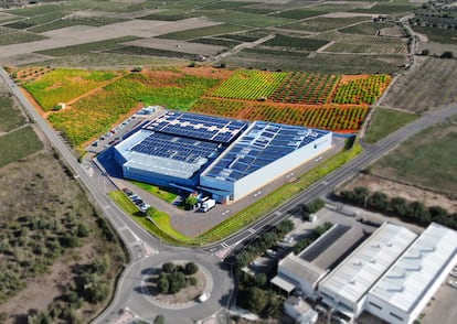 Vista de la planta de fabricación ubicada en Vilabella, Tarragona.