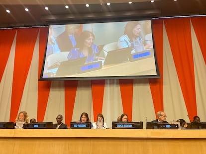 Paula Narváez, embajadora de Chile ante la ONU, en una reunión de la ECOSOC