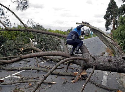Un miembro de Protección Civil retira un árbol caído en Arteixo (A Coruña)