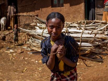Una joven etíope carga un pesado fardo de leña sobre su espalda.