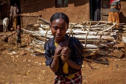 Una joven etíope carga un pesado fardo de leña sobre su espalda.