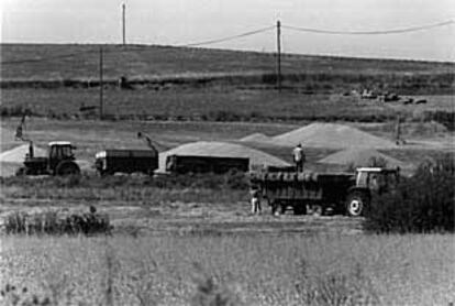 Vista de un campo de la provincia de Ávila en la recogida del cereal.