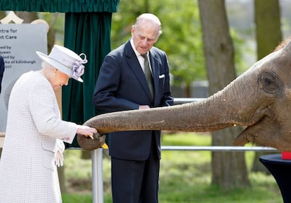 O príncipe Philip, duque de Edimburgo, e a rainha Elizabeth II dão bananas para Donna, uma elefanta asiática de 7 anos de idade, no novo centro para o cuidado de elefantes no zoológico ZSL Whipsnade, em 11 de abril de 2017, em Dunstable (Reino Unido). É uma das últimas aparições públicas de Philip antes de se aposentar no segundo semestre de 2017.