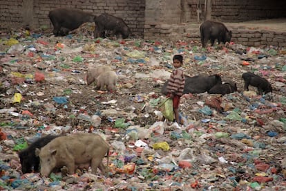 Un niño dalit busca desechos para reciclar en los alrededores del barrio de Sigra, en Varanasi.