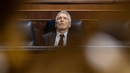 El ministro de Interior, Fernando Grande-Marlaska, este miércoles, en el Congreso.