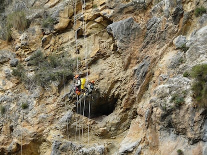 Miembros de la Unidad Vertical de Conservación Ambiental del Espacio Natural Sierra Nevada (Junta de Andalucía) desciende a uno de los nidos históricos de quebrantahuesos. Foto de Sergio Couto.