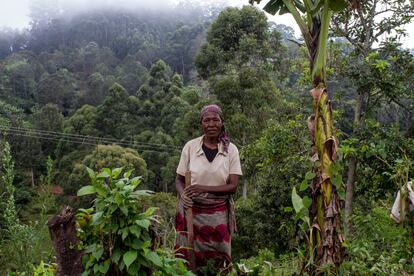 A agricultura de subsistência é a principal atividade econômica da região, onde dois terços da população vive abaixo da linha da pobreza. Até 2008, atividades como exploração madeireira e mineração eram as fontes mais comuns de renda, mas foram proibidas quando a área foi protegida. Na imagem, uma mulher cultiva a terra na cidade de Ntenga.