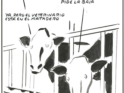 El Roto