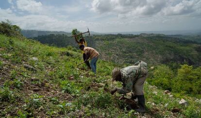 Agricultores tratan de sembrar nuevas semillas en un terreno pedregoso.