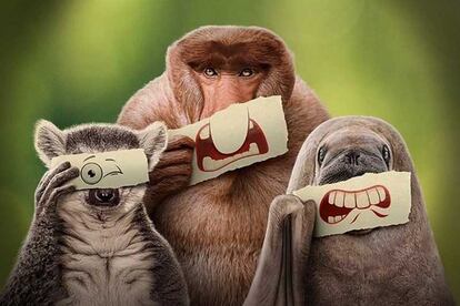 Underdogs en Disney+