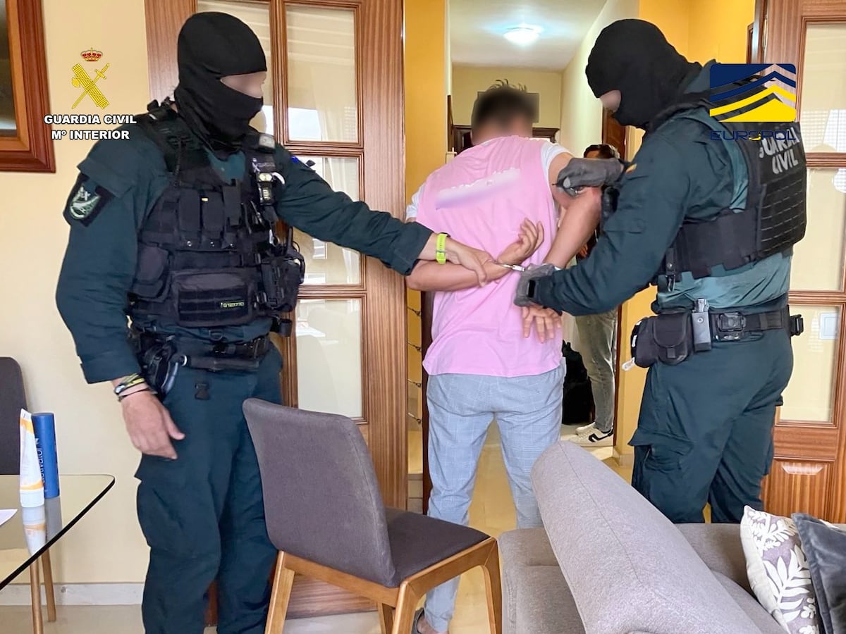 La Guardia Civil desarticula una organización que...