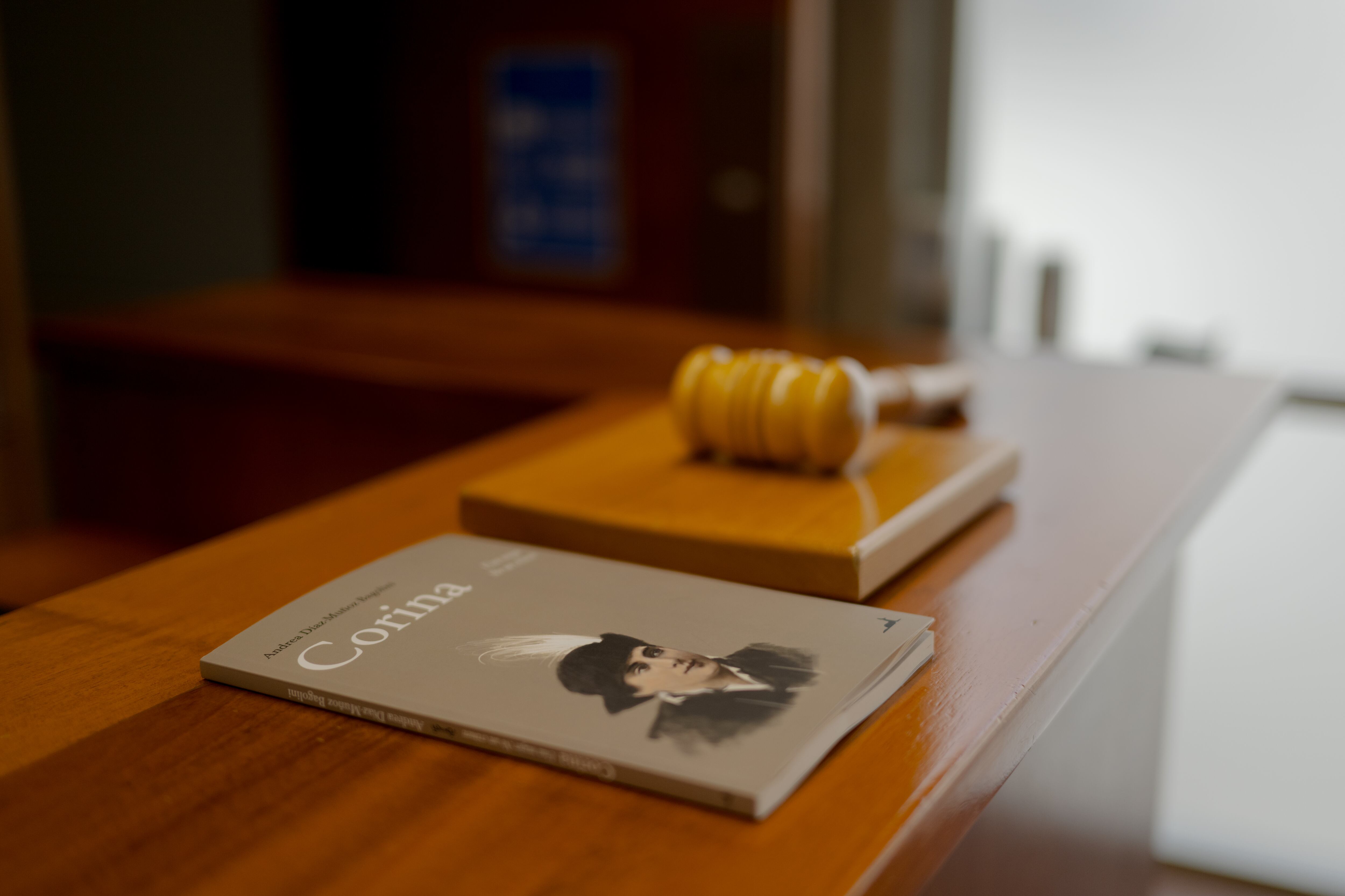 El Libro 'Corina', de Andrea Díaz-Muñoz. 