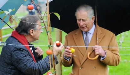 El pr&iacute;ncipe de Gales prueba una manzana.