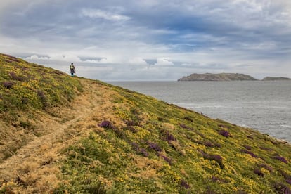 El Camiño dos Faros, en un tramo a su paso por Malpica.