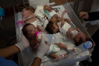 Los médicos atienden con biberones a los bebés prematuros palestinos, que serán evacuados desde el hospital de Shifa hacia Egipto. 