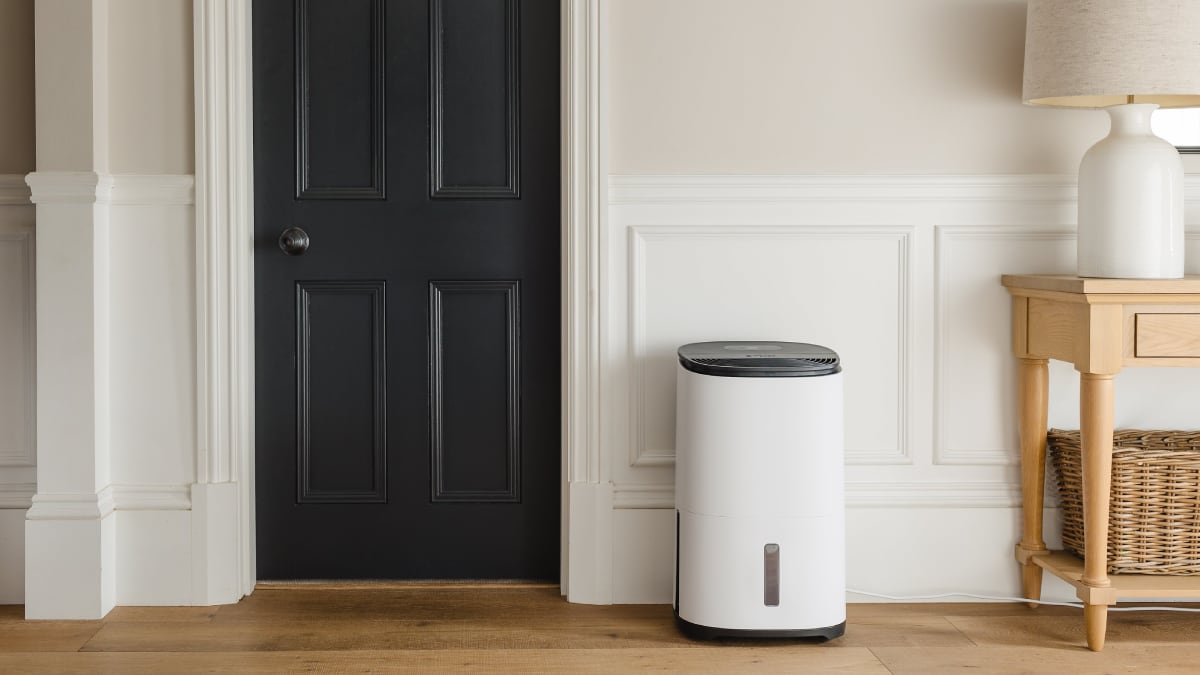 Adiós a la humedad en casa: cómo elegir el deshumidificador ideal para cada estancia