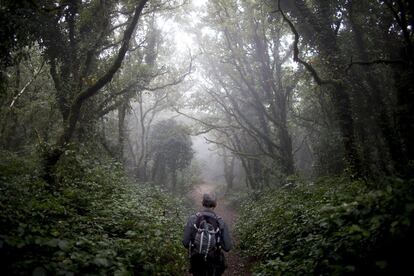 Los fuertes vientos de Levante chocan con las cumbres de las sierras del parque y provocan una espesa niebla en las zonas altas.