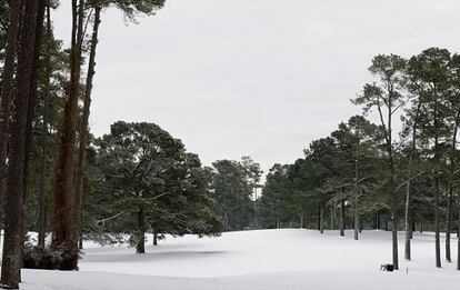 El hoyo 17, nevado en invierno, con el Árbol de Eisenhower a la izquierda.