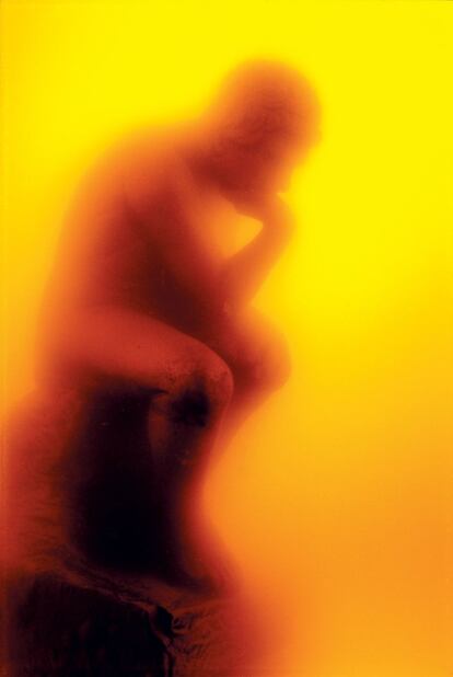 The Thinker (Immersions), 1988