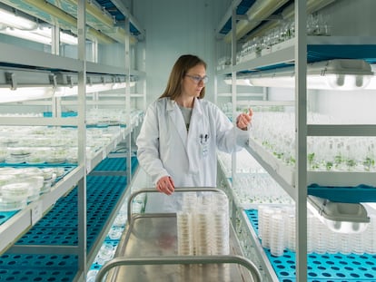 Laboratorio de biología celular de Bayer en Almería.