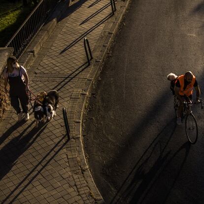 DVD 1000 (06-05-20) Una mujer pasea dos perros y un ciclista pasa con un perro a su espalda, en la Latina.. Foto Samuel Sanchez