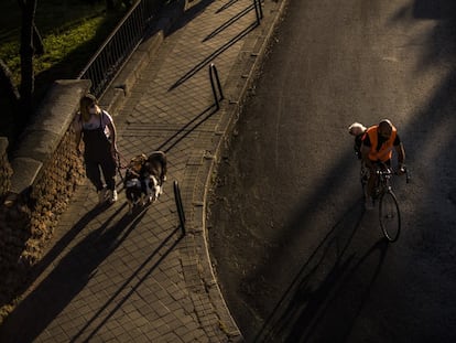Una mujer pasea dos perros y un ciclista pasa con un perro a su espalda, en Madrid en julio de 2020.