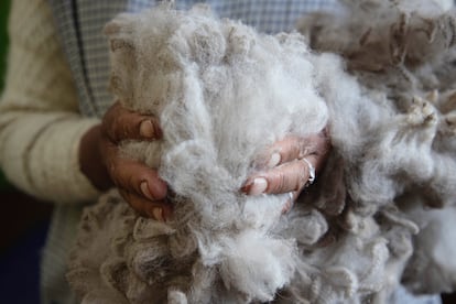 The women of the community are in charge of classifying their fiber and weaving threads and garments. 