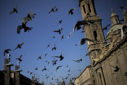 Zaragoza. Plaza del Pilar.