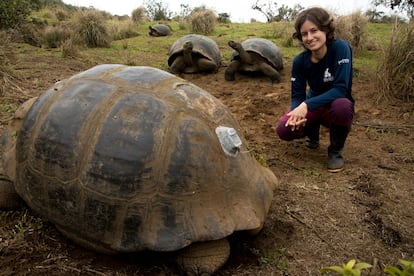 La veterinaria Ainoa Nieto posa con tres tortugas gigantes de Galápagos, donde dirige la investigación de la fundación Charles Darwin sobre estos animales.